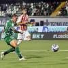 Avellino-Palermo 0-0, FINE PRIMO TEMPO: lupi con coraggio e personalità