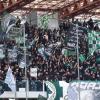 Cesena-Avellino, la sfida in numeri: romagnoli a secco di vittorie in casa, irpini in cerca di conferme