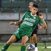 Avellino, test positivo contro il Napoli: i biancoverdi vincono 2-0
