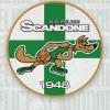 Scandone Avellino nel girone B di B Nazionale: ecco le avversarie