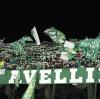 Sarà Avellino-Arezzo alla prima giornata: comincia così il campionato dei lupi