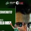 Della Rosa: "Avellino, non c'ho pensato due volte a venire. Polonara..."