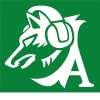 Il Podcast di TuttoAvellino - L'analisi di Avellino-Carrarese 1-2: sconfitta bruciante e cambi che non convincono