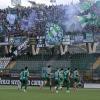 FOTOGALLERY - Gli scatti di Avellino-Padova 0-1
