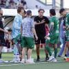 Avellino-Sampdoria, la sfida in numeri: come ci arrivano le due formazioni