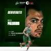 UFFICIALE - Avellino Basket, arriva Mattia Palumbo: "Potremo toglierci delle soddisfazioni"