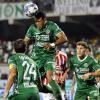 Il giornalista marchigiano Bartocci: "Cheddira ad Avellino porterà gol ed entusiasmo"