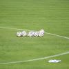Avellino, lunedì inizia la stagione: Di Maggio in arrivo, Lulli...