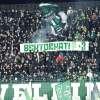 FOTOGALLERY - Gli scatti di Avellino-Pescara 0-1