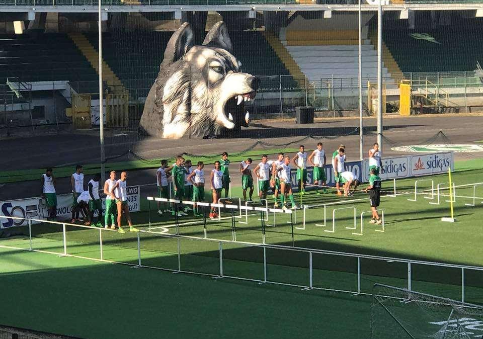 Avellino, nel mirino c'è il Matera di Auteri: Novellino all'assalto alla Coppa Italia