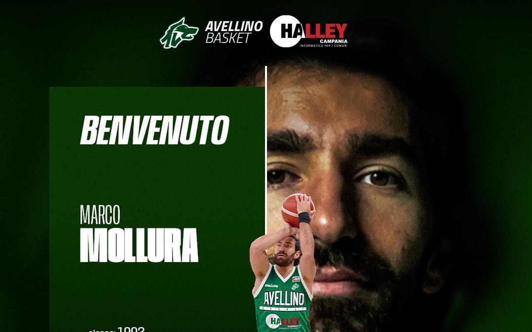 UFFICIALE - Mollura all'Avellino Basket: "Progetto vincente, scelta facile"