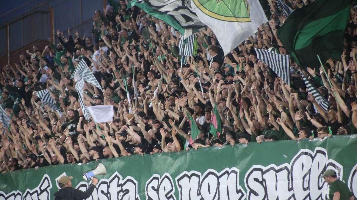 Giudice Sportivo, multato l'Avellino. Squalifiche per preparatore e due calciatori 