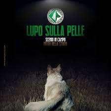"Lupo sulla pelle", da oggi in vendita le magliette con i nomi dei tifosi. Info e costo