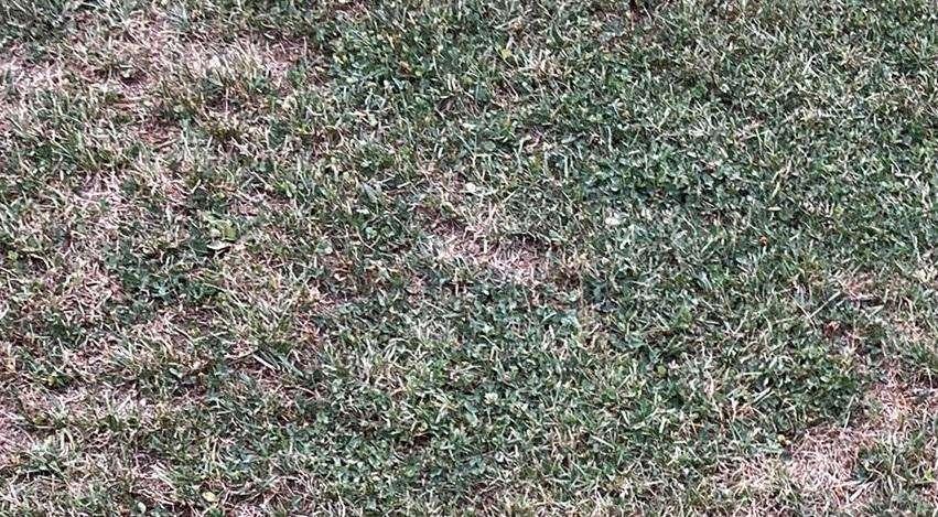 L'Avellino saluta Mercogliano: buona la risposta dei tifosi, ma su un campo così non ci si può allenare...