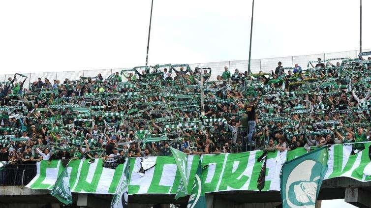 Salernitana-Avellino, la salvezza passa dal derby dell'Arechi. Presentazione gara e probabili formazioni