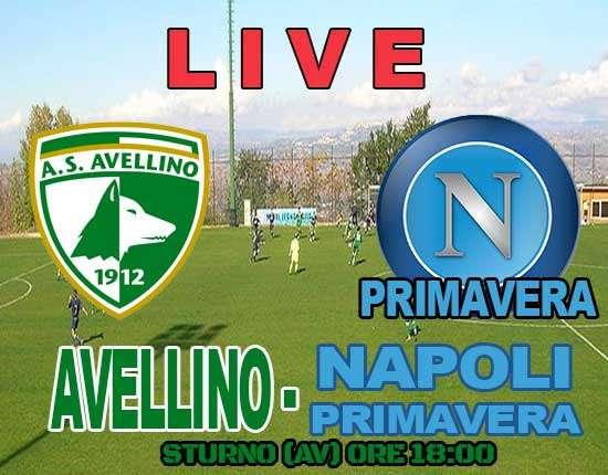 ** LIVE ** Avellino vs Napoli (primavera) 2-0: L'Avellino si prepara all'esordio con una vittoria contro il Napoli baby