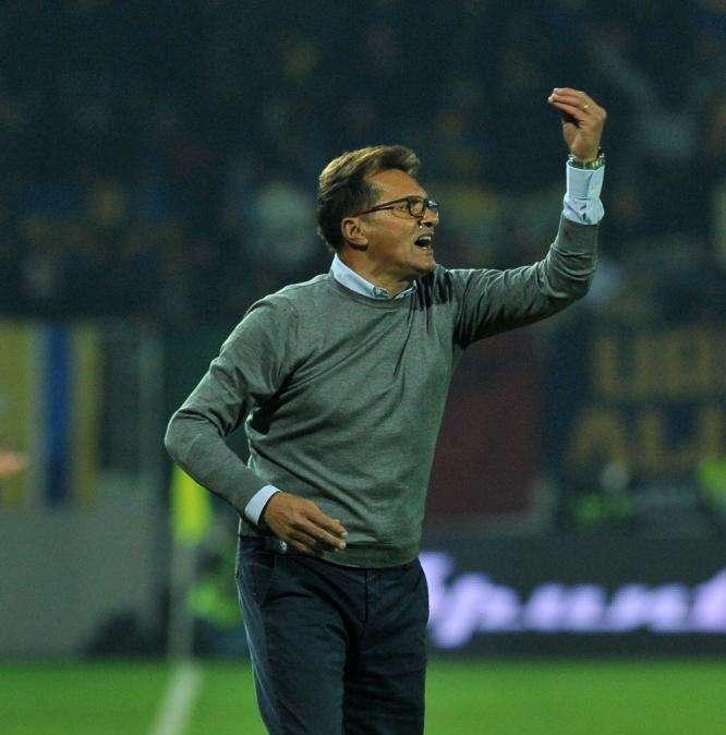 Novellino nuovo allenatore del Catania 