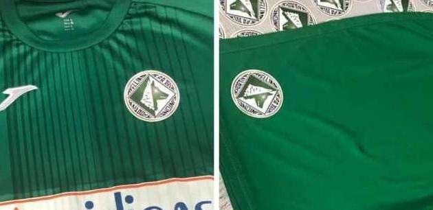 Avellino, accordo per il logo: la storia torna sulle maglie biancoverdi