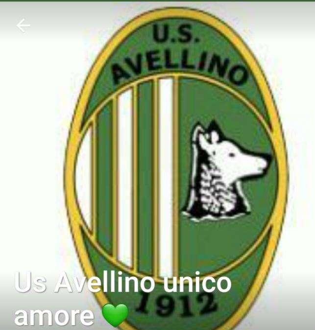 US Avellino Unico Amore compie un anno, il fondatore: "D'Agostino ha risvegliato un entusiasmo travolgente. Sogno un mega ritrovo tutti insieme"