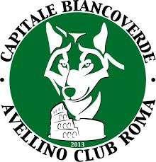 Tutti uniti per il Moscati: l'Avellino Club Roma ha raccolto 2000 euro