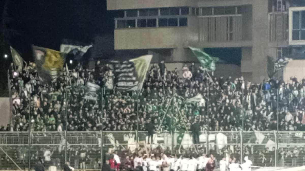 E' tutto Bellissimo. Avellino, che cavalcata! 