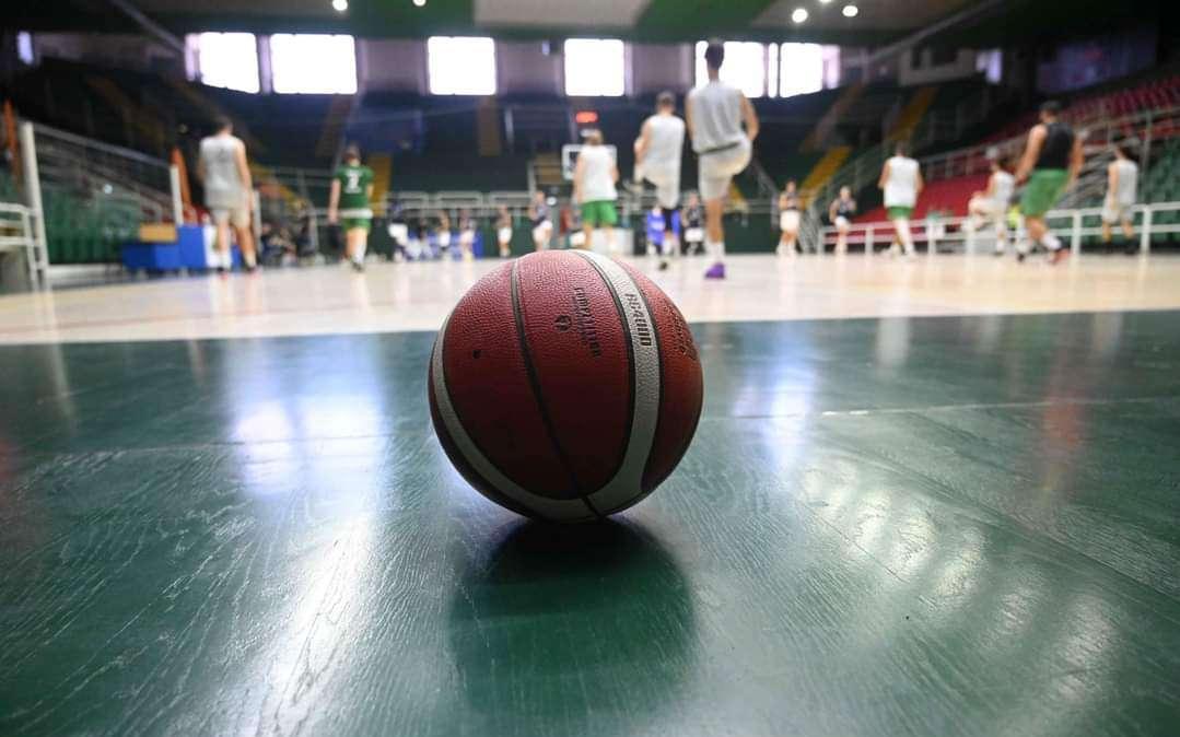 Delfes, i lupi battono Corato 76 a 57