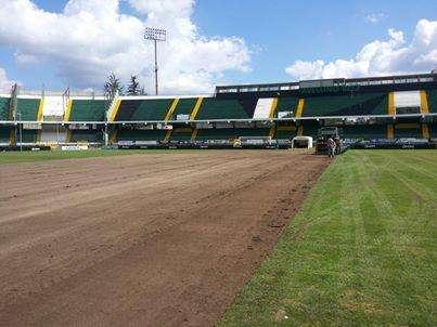 Stadio Partenio-Lombardi, domani inizierà la stesura delle zolle