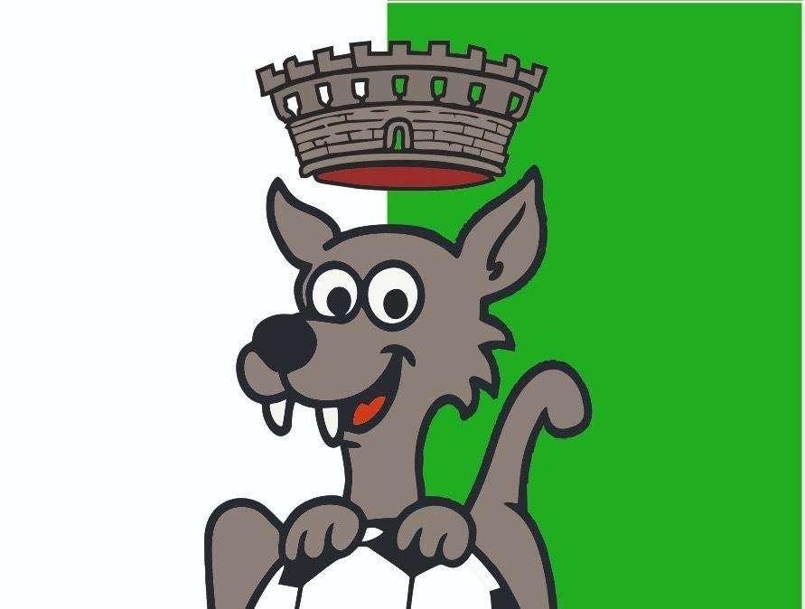 Il Club Baronia Biancoverde: "Ci auguriamo che la Provincia rinnovi la sponsorizzazione all'US Avellino"