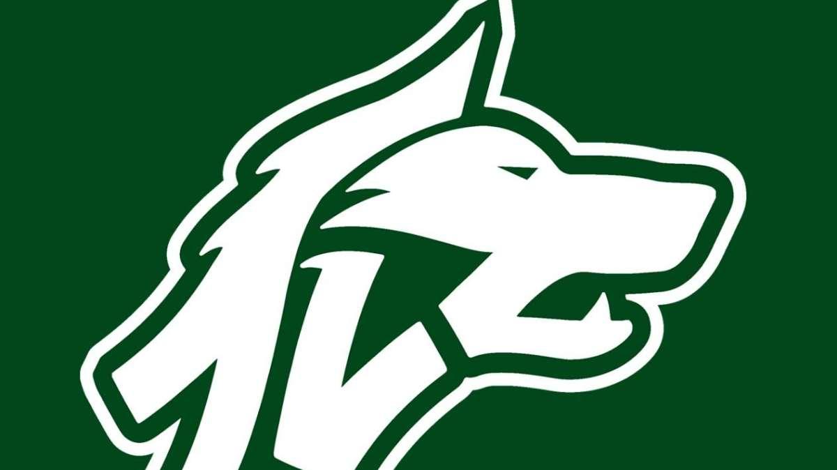 Avellino Basket, ecco il nuovo logo. Lombardi e Nevola: "Senso di identità e appartenenza. Vogliamo ben figurare"