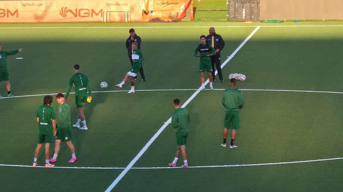 FOTOGALLERY - La ripresa dei lupi al Partenio-Lombardi