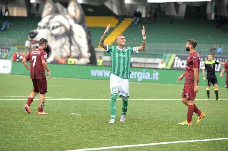 Avellino, Novellino prova a recuperare Castaldo. Asmah ai box, almeno un mese di stop