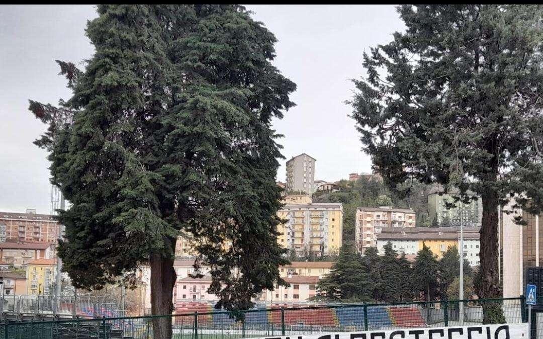 Avellino, si apre una settimana 'di passione': dove si giocherà sabato? Intanto a Potenza spuntano i primi striscioni...