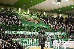 Basket - Avellino non si ferma più, soffre, consolida la seconda piazza: battuta Pistoia 82-78
