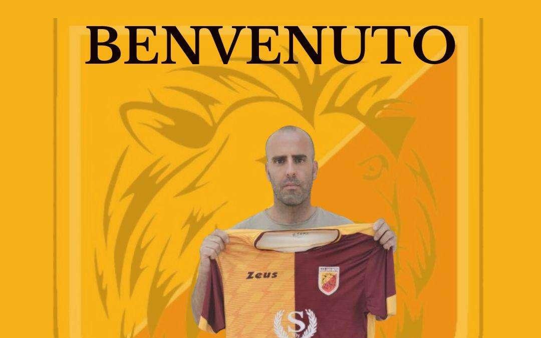 Lions Grotta, ufficiale l'ingaggio di Francesco Paolo D'Innocenzo