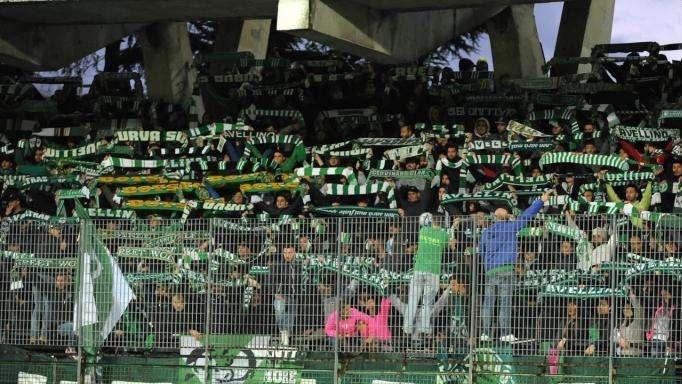 Avellino-Ascoli, sfida salvezza per la prima di Novellino. Presentazione gara e probabili formazioni