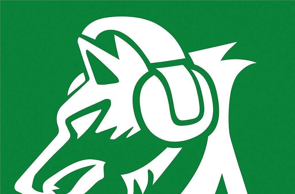 Il Podcast di TuttoAvellino - L'analisi di Avellino-Empoli: preoccupante involuzione della squadra