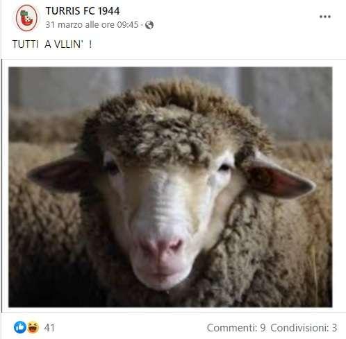 Lo sfottò della pagina corallina: ma senza "Vllin", la Turris giocava in C?