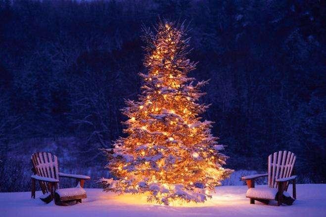 Auguri di Buon Natale da TuttoAvellino.it