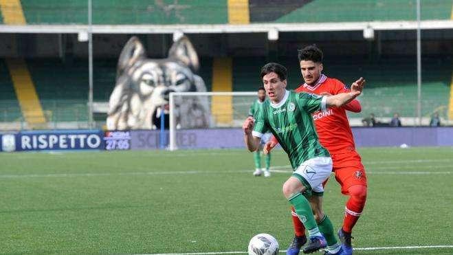Avellino, oggi test con la Primavera (porte chiuse): Novellino valuta l'undici anti-Novara