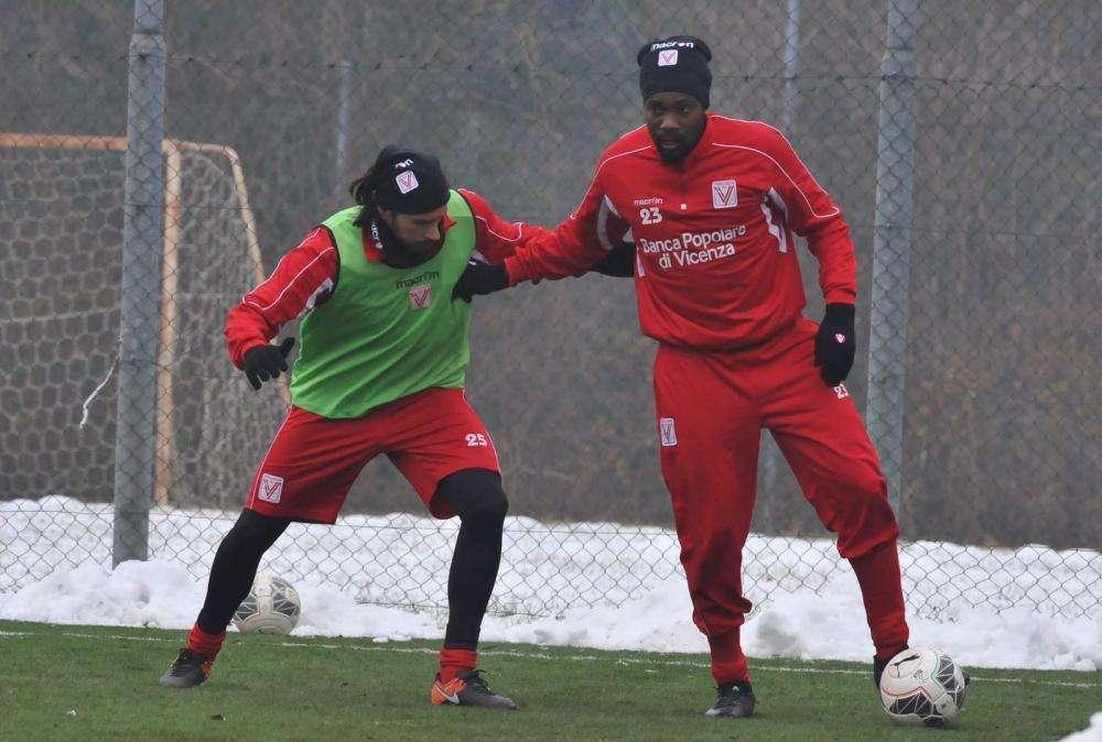 Qui Bisceglie, quanti assenti per Mancini: Ebagua non recupera, fuori in otto