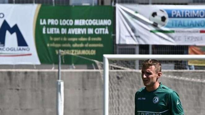 Giudice sportivo, uno squalificato per parte tra le fila di Avellino e Potenza