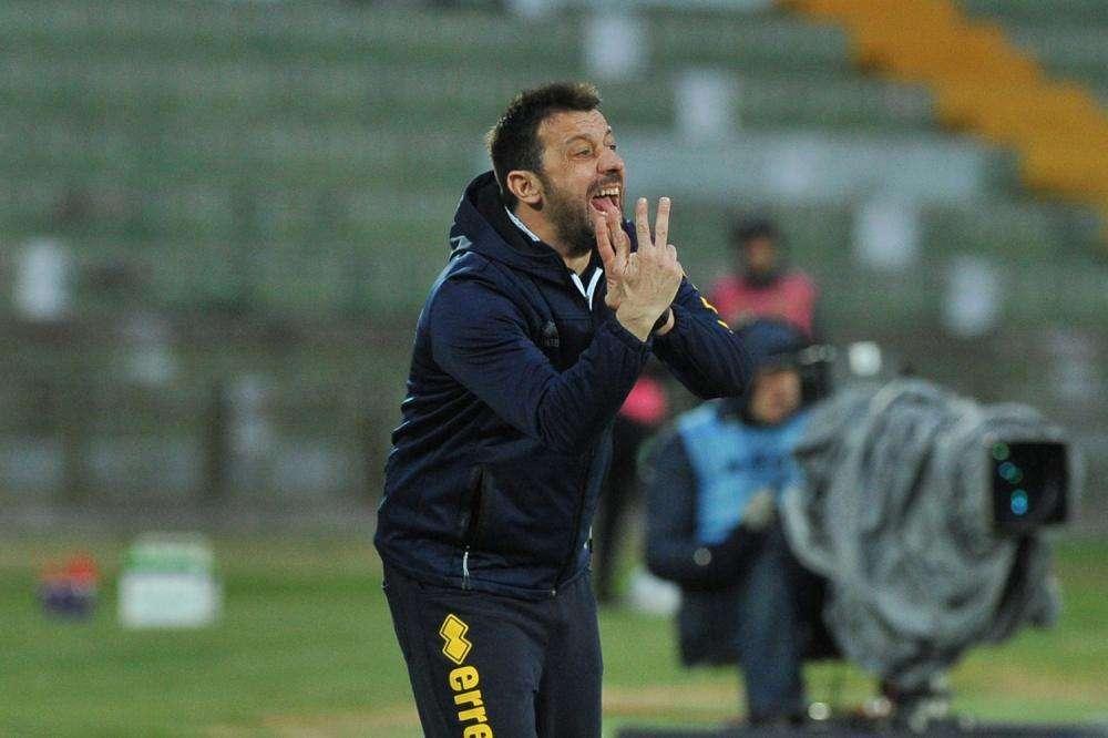 D'Aversa elogia I suoi dopo il blitz di Avellino: "Vinto con pieno merito" 