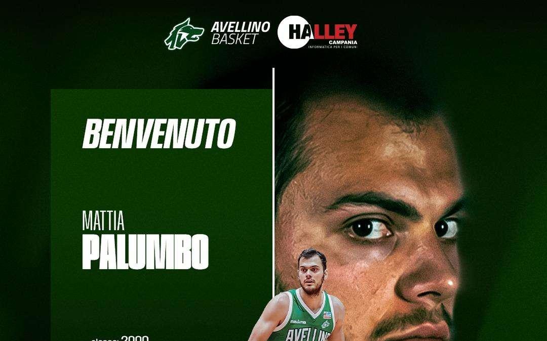 UFFICIALE - Avellino Basket, arriva Mattia Palumbo: "Potremo toglierci delle soddisfazioni"