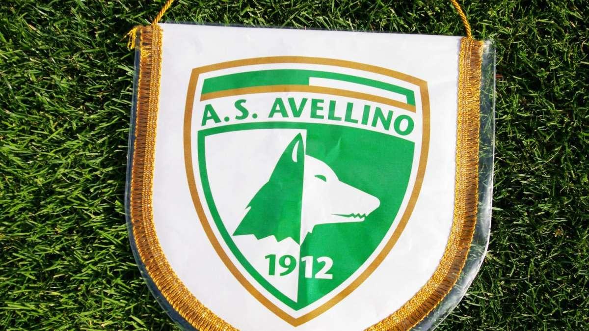 Primavera, ecco il cammino dei lupacchiotti...