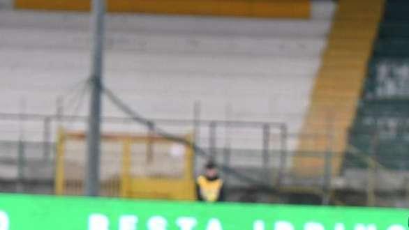 Campobasso sempre vigile su D'Angelo: Braglia prova la carta del prestito