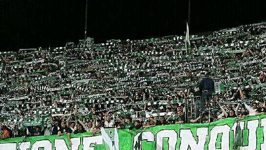 Avellino-Vicenza, i biancoverdi tornano al Partenio-Lombardi per ritrovare il sorriso. Presentazione gara e probabili formazioni