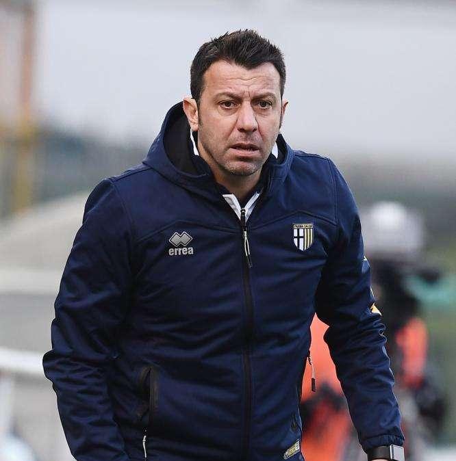 Parma, D'Aversa: "Testa all'Avellino. Sarà una partita difficile"