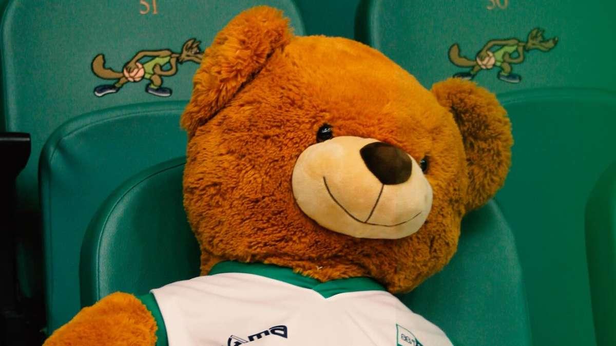 Un sorriso per i bambini meno fortunati. La Scandone ripropone il "Teddy bear toss"