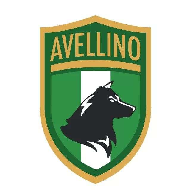 Nasce il Città di Avellino, giocherà nel campionato di Eccellenza