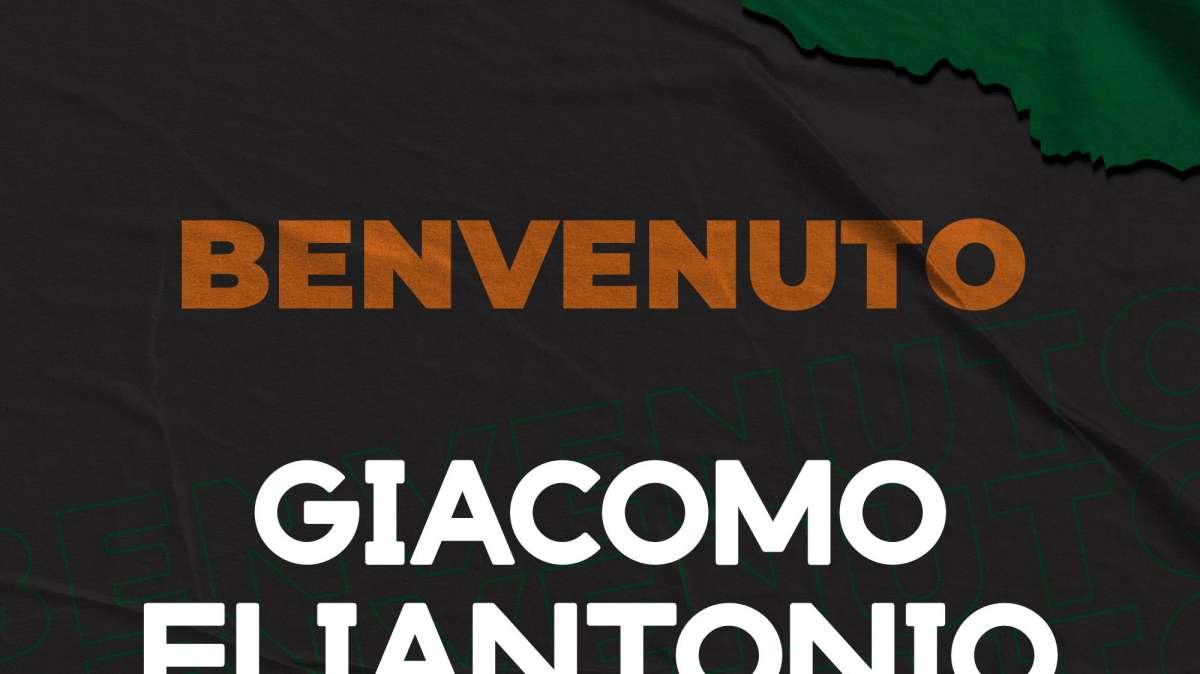 UFFICIALE - DelFes, preso il pivot Eliantonio. Rotondi: "Elemento esperto e valido"